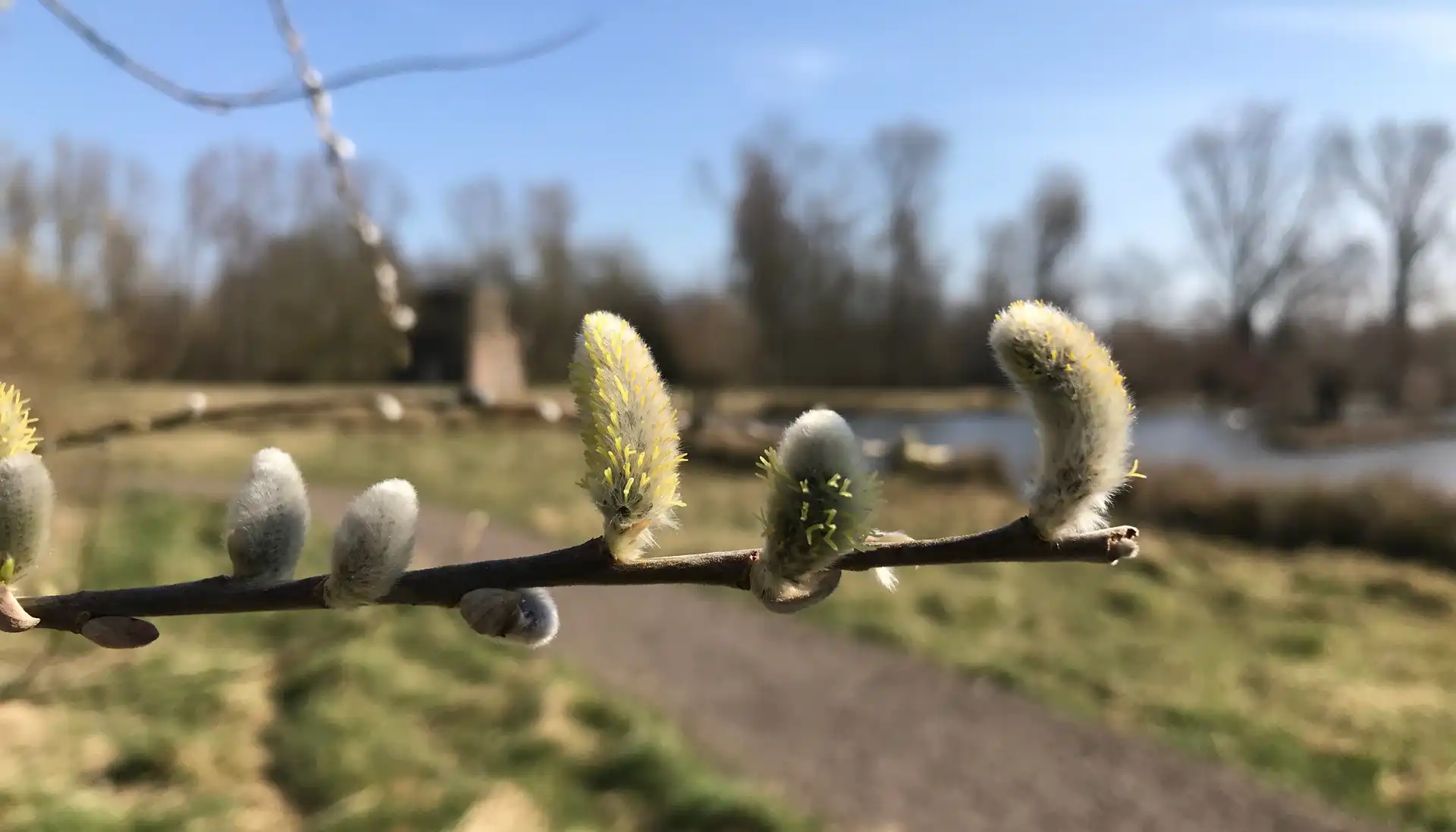 Natur im Frühjahr - Insel Hombroich