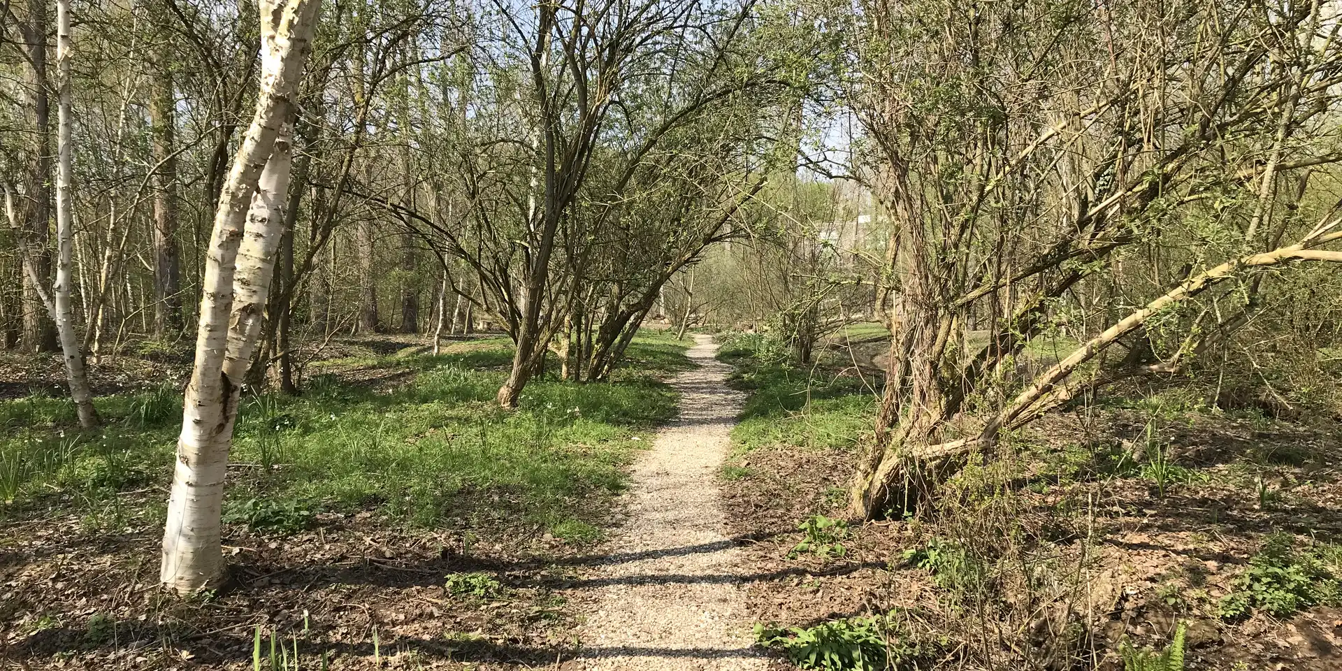 Naturimpression Insel Hombroich