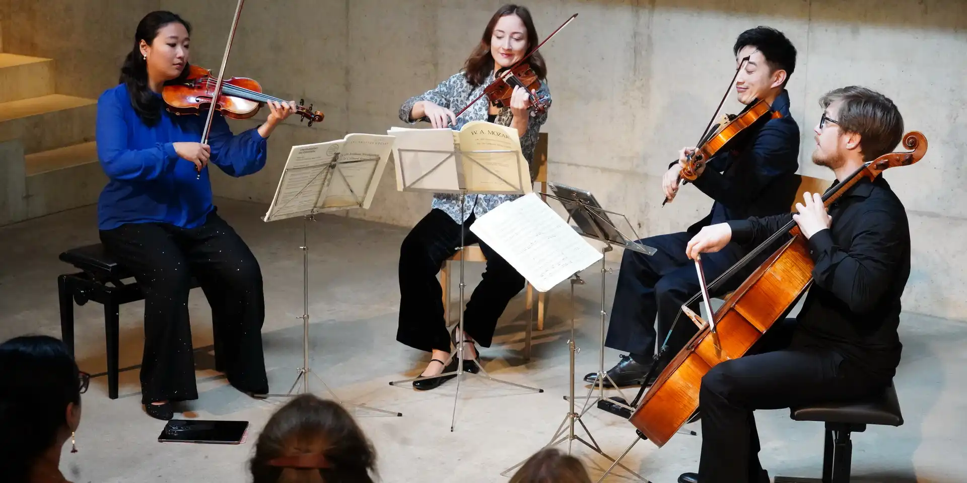 Eine Gruppe von Musikern mit Streichinstrumenten